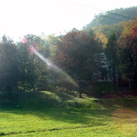Vadregeny Panzio Bed & Breakfast Естергом Екстериор снимка