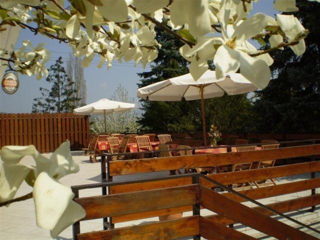 Vadregeny Panzio Bed & Breakfast Естергом Екстериор снимка