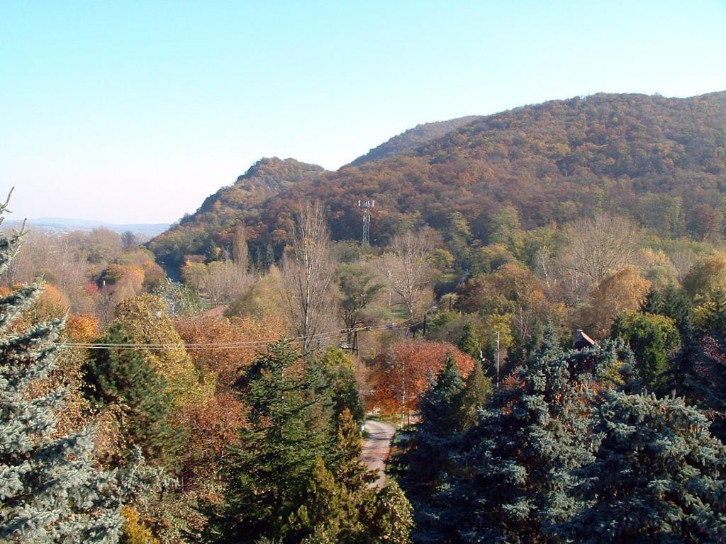 Vadregeny Panzio Bed & Breakfast Естергом Екстериор снимка